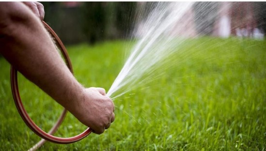 Mengatasi Lumut pada Selang Air dengan 4 Metode Efektif