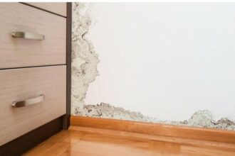 Tips Ampuh Membersihkan Jamur di Dinding Rumah saat Musim Hujan