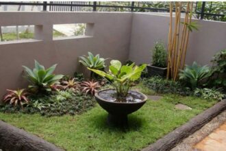 Rumah Hijau: Panduan Membuat Taman Kecil di Dalam Rumah