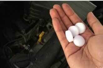 5 Rahasia Tersembunyi Manfaat Kapur Barus Selain Menghilangkan Bau Tak Sedap