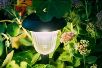 Tips Ampuh Cara Merawat Lampu Taman Agar Tetap Awet dan Cantik