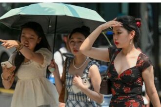 Tips Bikin Rumah Tetap Adem Meski Cuaca Panas 'Ugal-Ugalan'