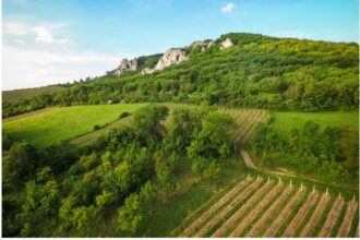 Strategi Efektif! Cara Mudah Mencari Lahan Untuk Proyek Properti