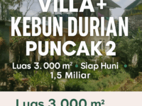 Dijual Villa Asri Siap Huni + Kebun Durian di Puncak 2, Bogor Timur